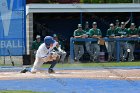 Baseball vs Babson  Wheaton College Baseball vs Babson during Championship game of the NEWMAC Championship hosted by Wheaton. - (Photo by Keith Nordstrom) : Wheaton, baseball, NEWMAC